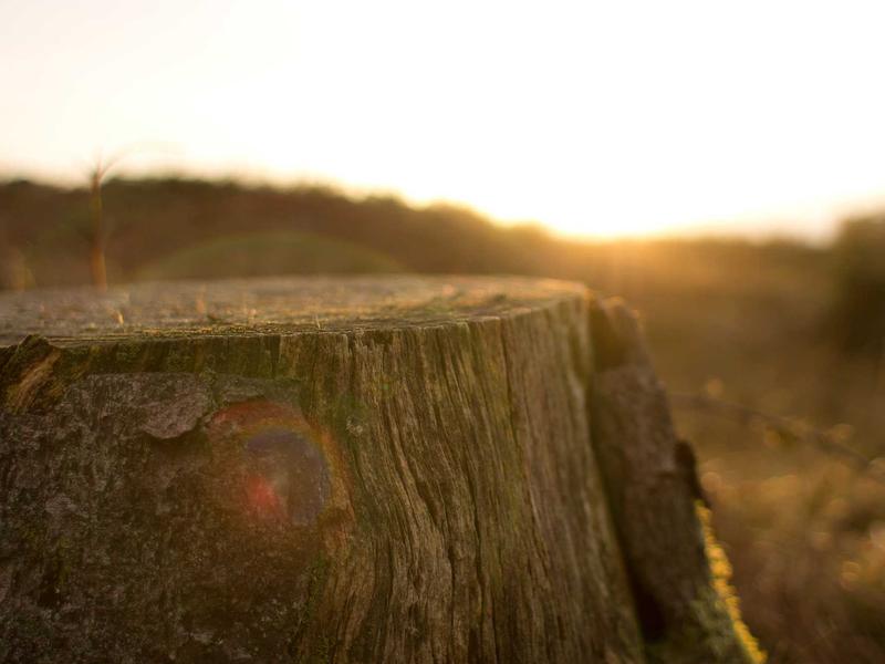 sudoku commute game screenshot 6